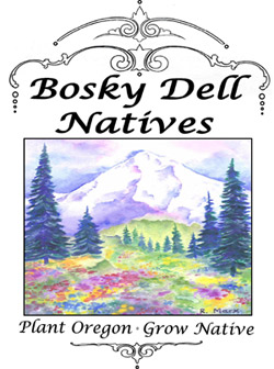 Bosky Dell Natives