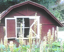chicken coop
