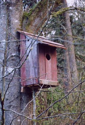 wood duck nesting box